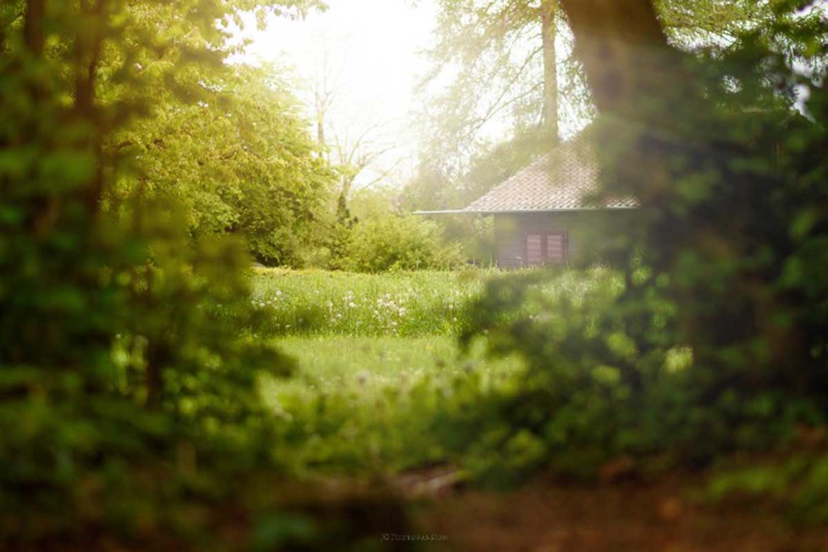 coffee and-coffee-beans